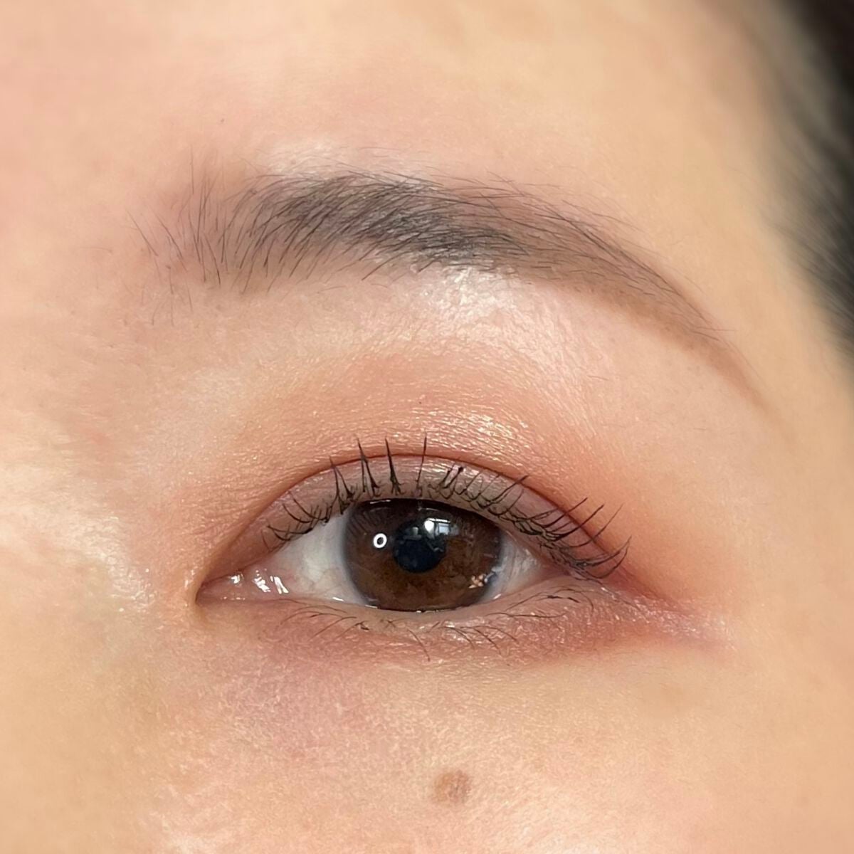 ツイン カラー アイシャドウ/ちふれ/アイシャドウパレットを使ったクチコミ(8枚目)