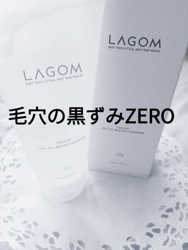 ラゴム ジェルトゥウォーター クレンザー(朝用洗顔)/LAGOM /洗顔フォームを使ったクチコミ（1枚目）