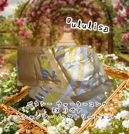 ビタシー ウォーターコンク EX リペア シャンプー /ヘアトリートメント/ululis/市販シャンプーを使ったクチコミ(1枚目)