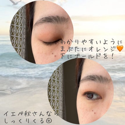 エテュセ アイエディション(カラーパレット)/ettusais/アイシャドウパレットを使ったクチコミ(3枚目)