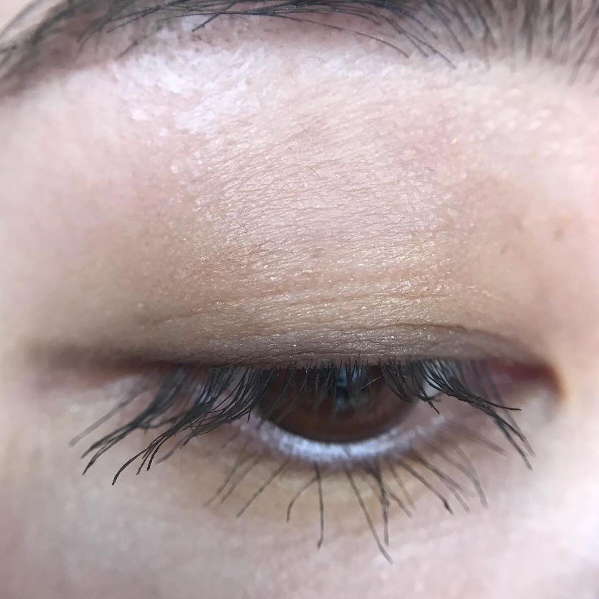 ヴァティック アイズ/Celvoke/単色アイシャドウを使ったクチコミ(4枚目)