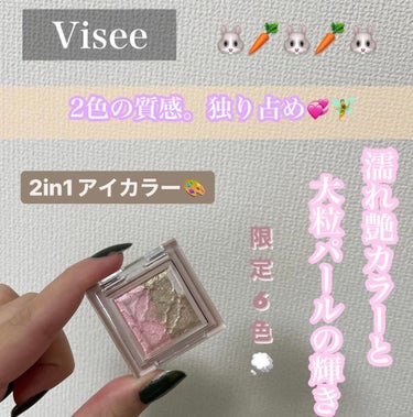 リシェ ダズリング デュオ アイズ/Visée/アイシャドウパレットを使ったクチコミ（1枚目）