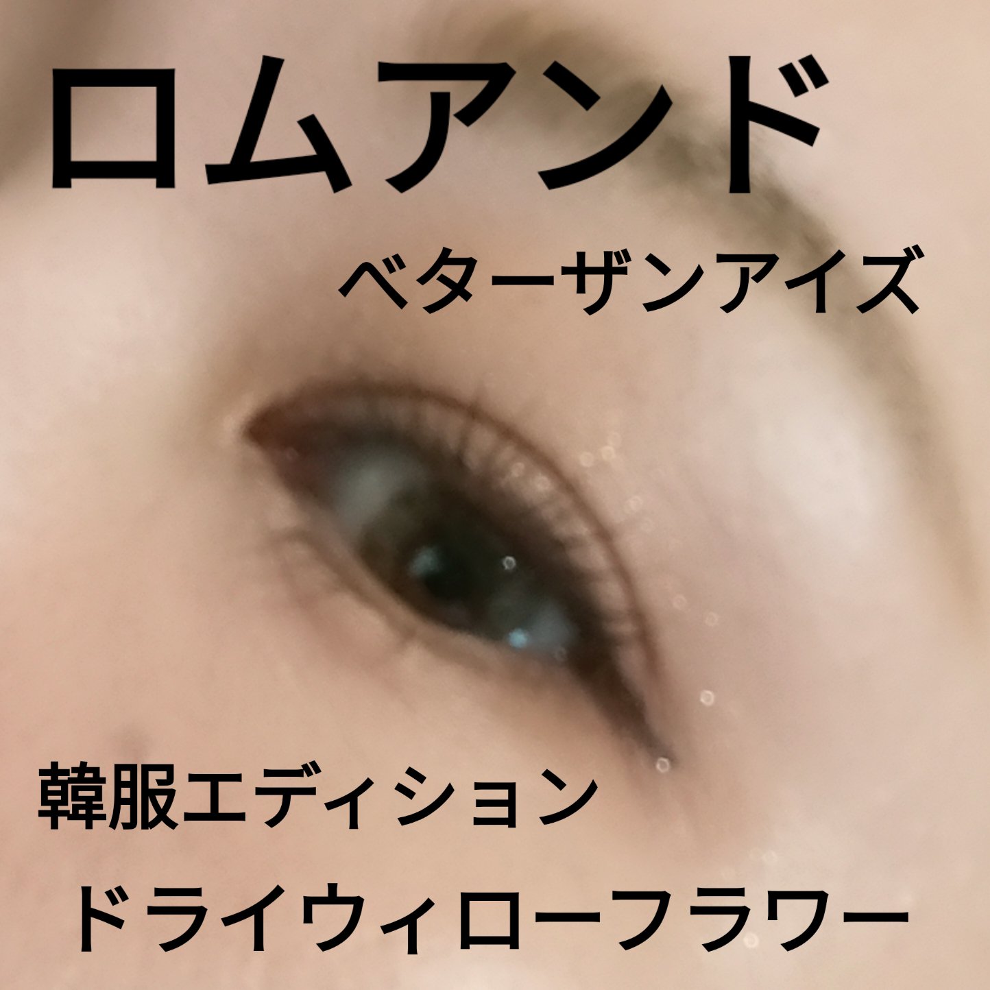 ベターザンアイズ  韓服エディション N01 ドライウィローフラワー/rom&nd/アイシャドウパレットを使ったクチコミ（1枚目）