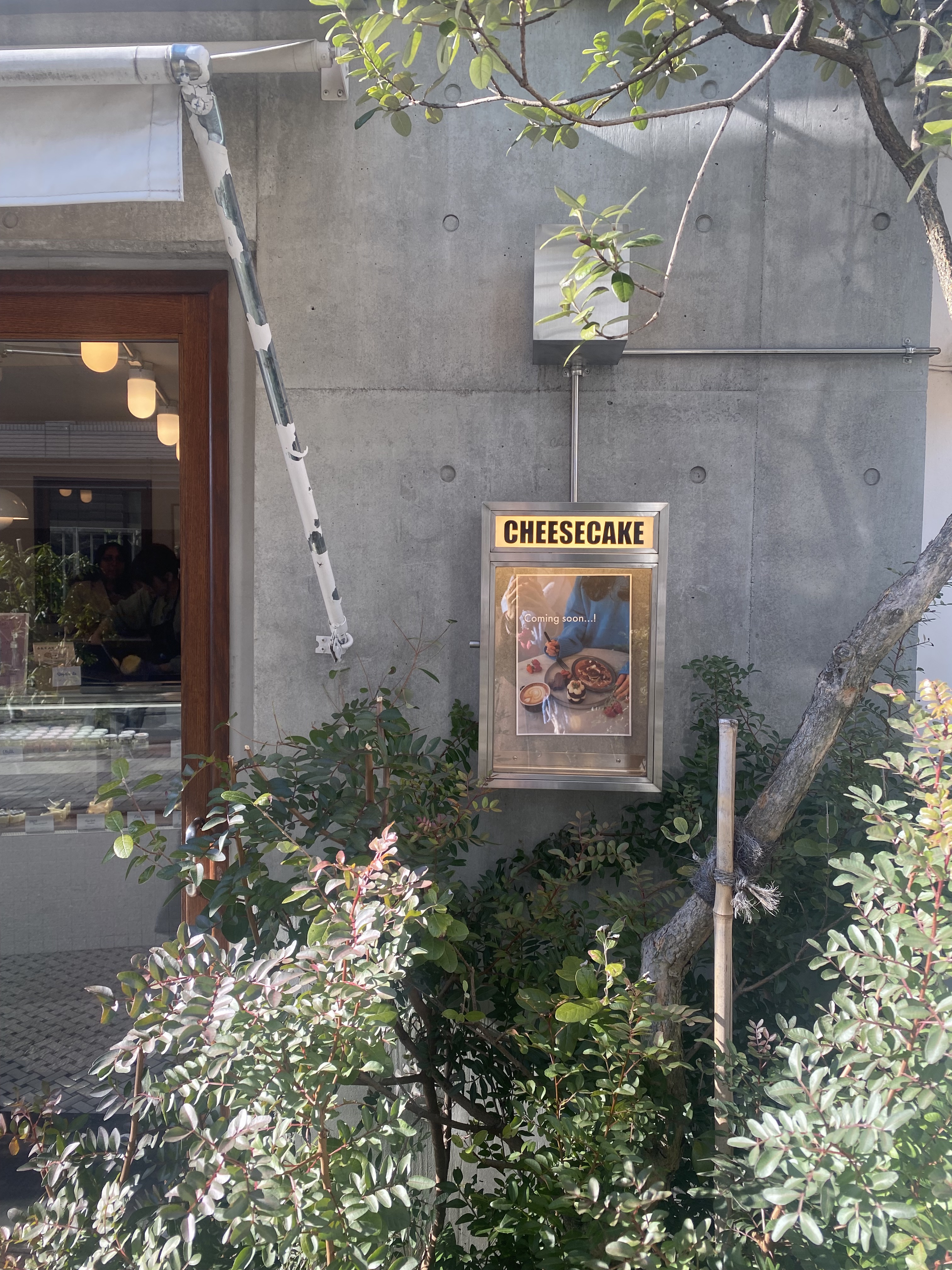 ピュア チーク カラー/heme/パウダーチークを使ったクチコミ（1枚目）