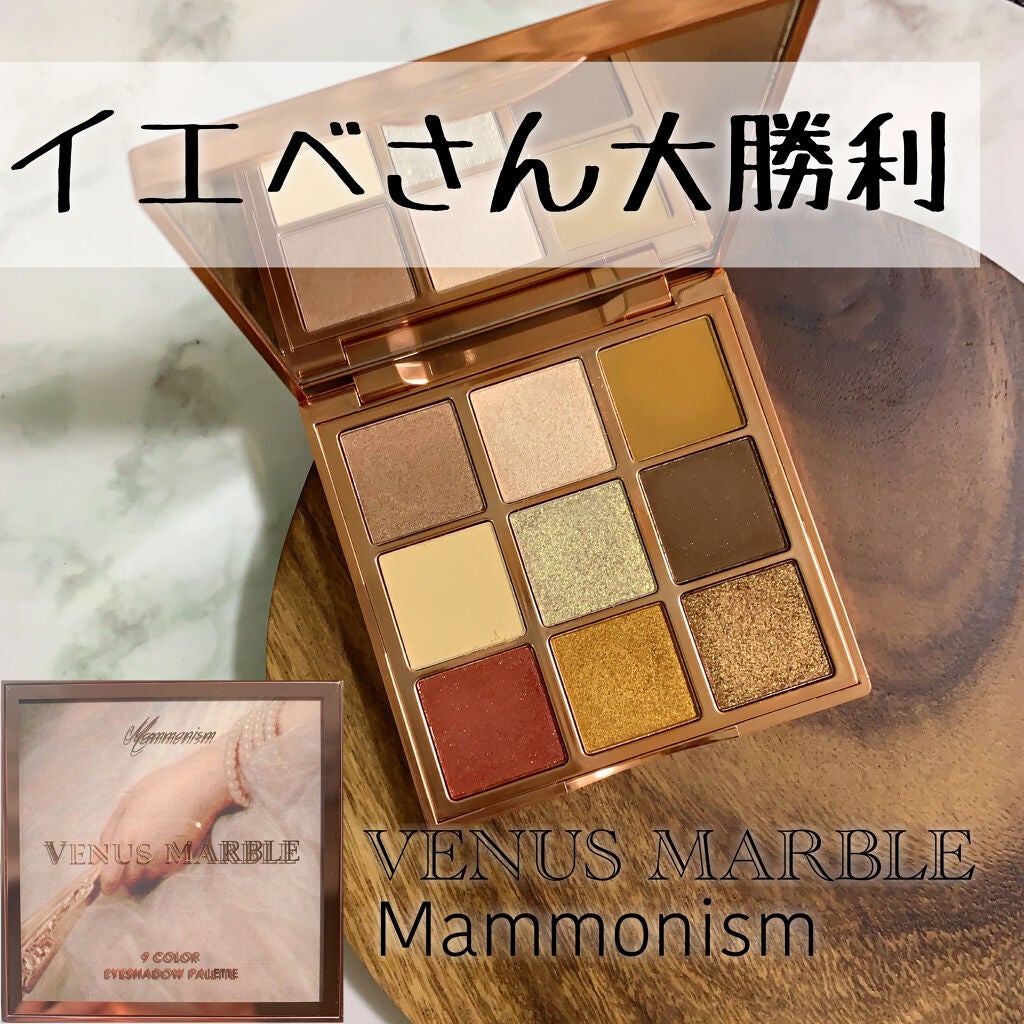 VenusMarble 9色アイシャドウパレット/Venus Marble/アイシャドウパレットを使ったクチコミ(1枚目)