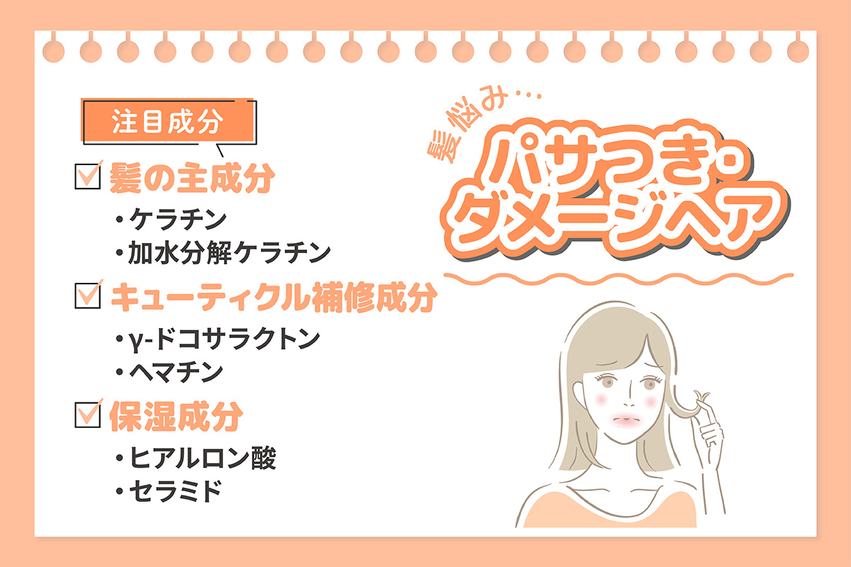 パサつき・ダメージヘアの注目成分は、髪の主成分のケラチン・加水分解ケラチン、キューティクル補修成分のγ-ドコサラクトン・ヘマチン、保湿成分のヒアルロン酸・セラミド。