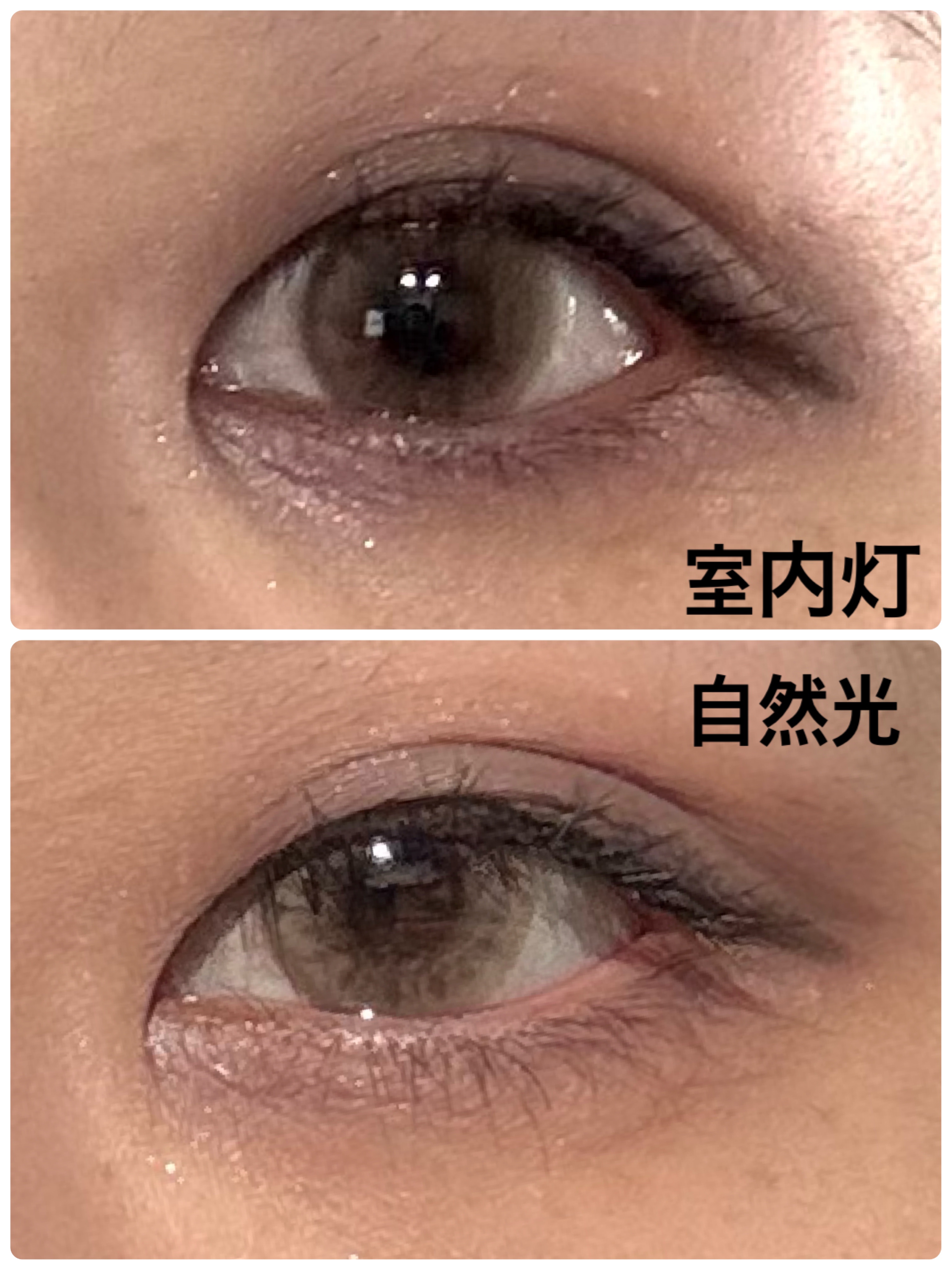 ロシアンスモーキー ブラウン/OLENS/カラーコンタクトレンズを使ったクチコミ（2枚目）