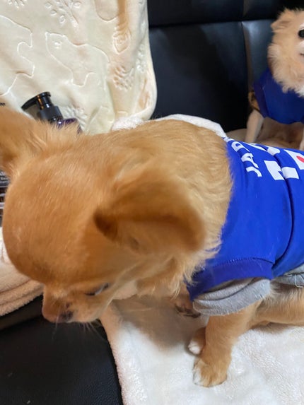 キールズ ウォータークリームCL/Kiehl's/フェイスクリームを使ったクチコミ(3枚目)