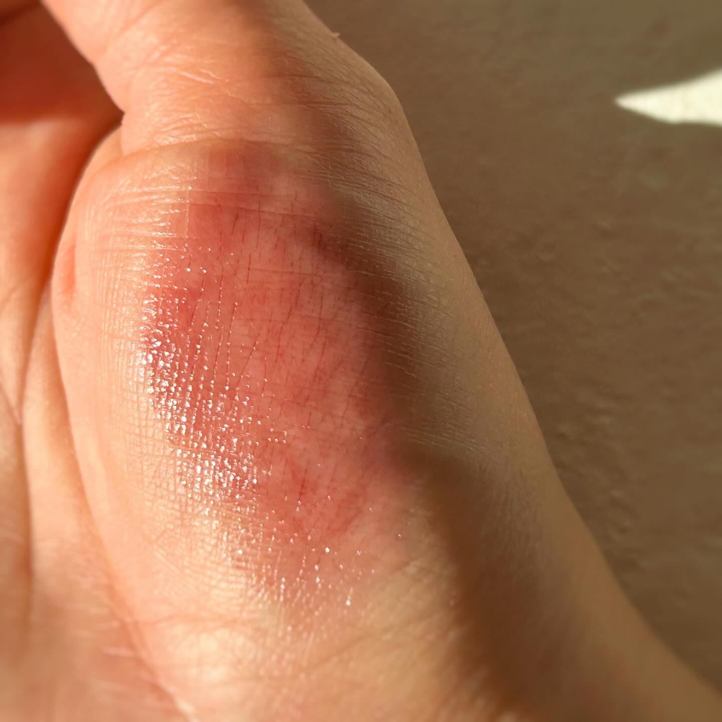 ネンマクフェイク ルージュ/Visée/口紅を使ったクチコミ（3枚目）