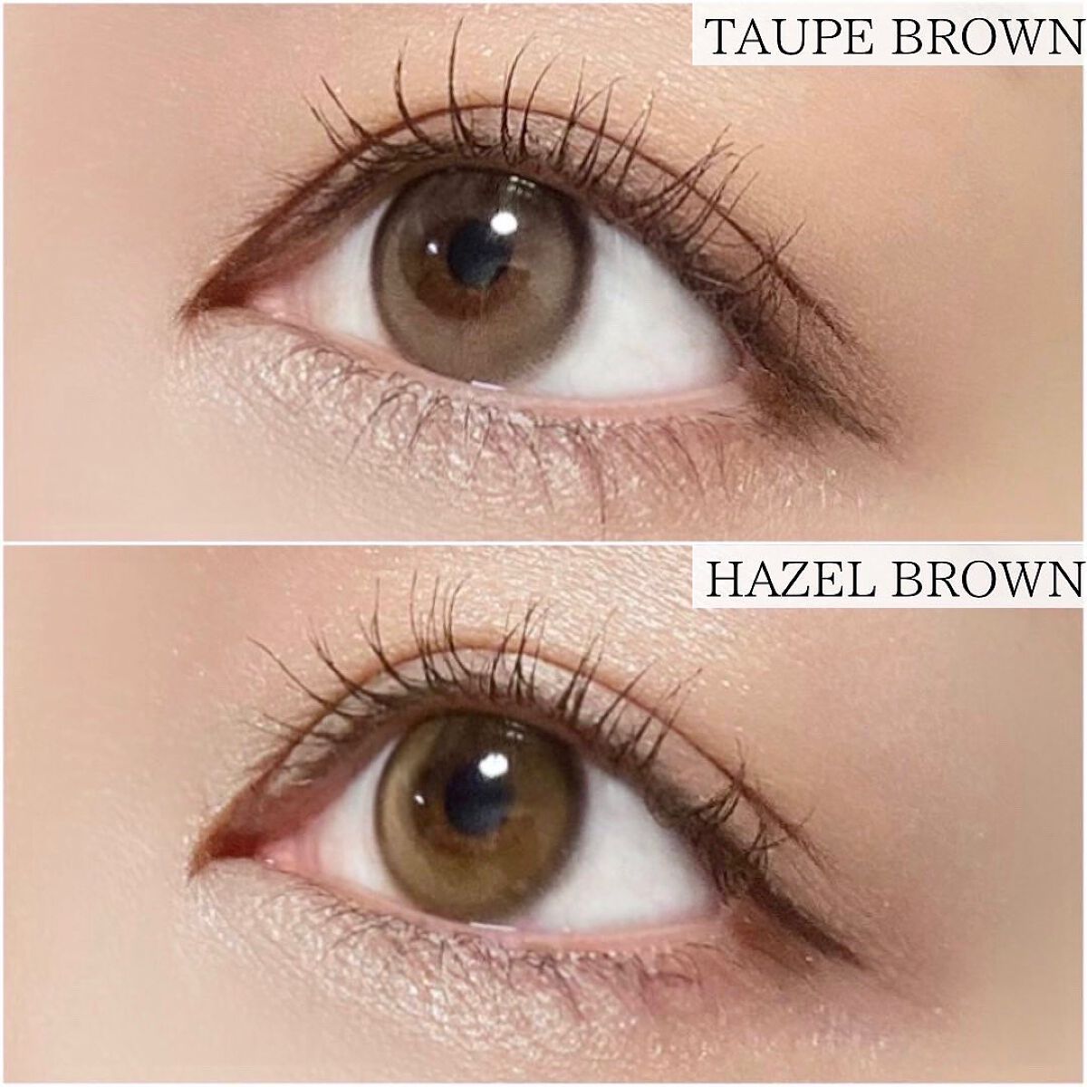 ピュアリティーシャインワンデー(PURITYSHINE 1day)/OLOLA/ワンデー(1DAY)カラコンを使ったクチコミ(5枚目)