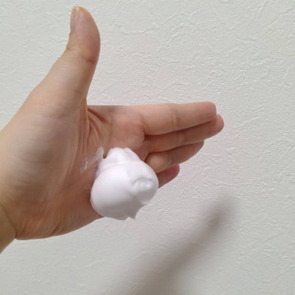 グランフェイスウォッシュ/4BPRO/泡洗顔を使ったクチコミ(9枚目)