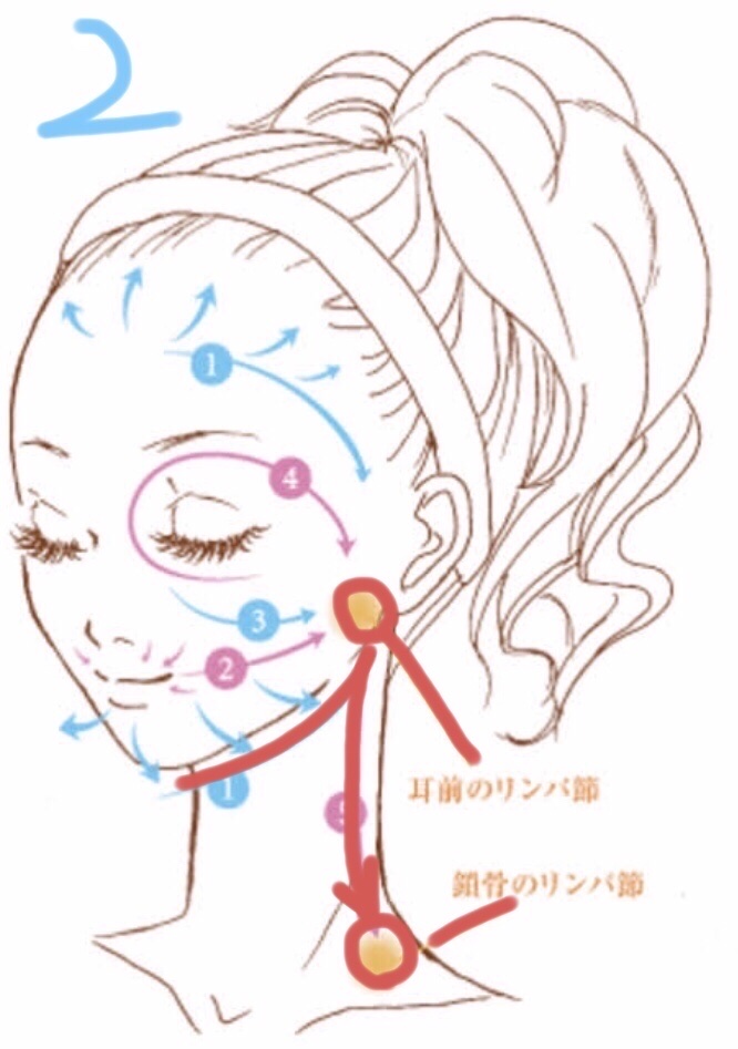 シャンプーブラシ/セリア/スカルプブラシを使ったクチコミ（2枚目）