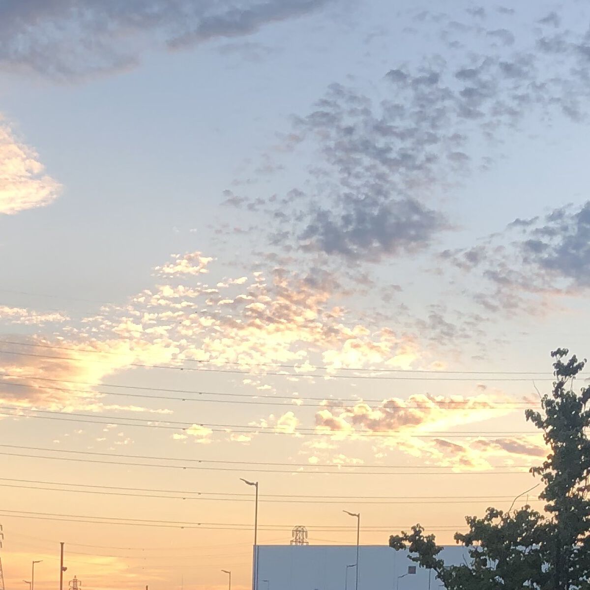 美肌職人 黒真珠マスク/クリアターン/シートマスク・パックを使ったクチコミ（1枚目）