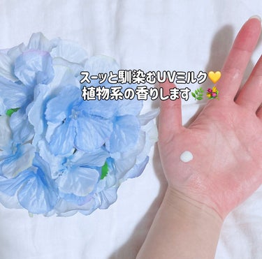 植物から生まれたミツバチUVミルク/アピセラピーコスメティクス/日焼け止め・UVケアを使ったクチコミ（3枚目）