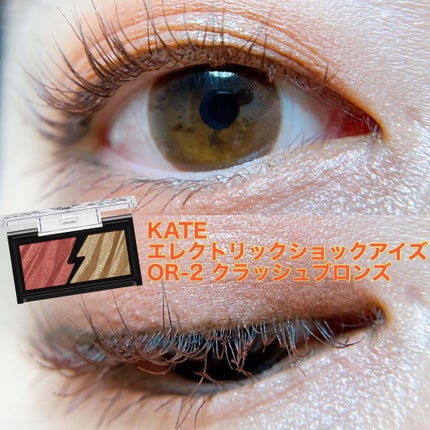 エレクトリックショックアイズ OR-2 クラッシュブロンズ/KATE/アイシャドウパレットを使ったクチコミ(1枚目)
