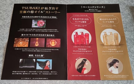 プレミアムボリューム&リペア シャンプー/コンディショナー/TSUBAKI/市販シャンプーを使ったクチコミ(2枚目)