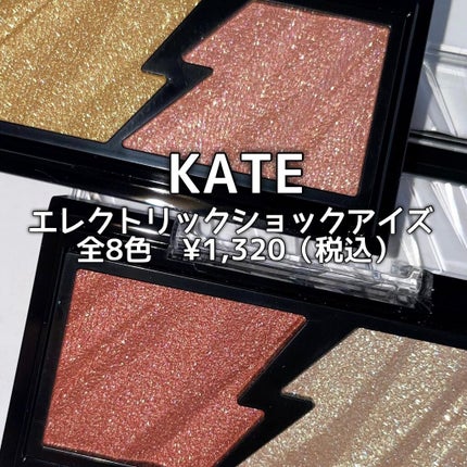 エレクトリックショックアイズ /KATE/アイシャドウパレットを使ったクチコミ(3枚目)