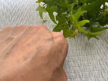 マスクジェル/草花木果/美容液を使ったクチコミ(3枚目)