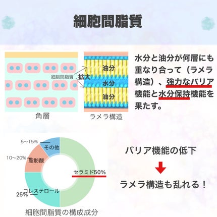 潤浸保湿 フェイスクリーム/キュレル/フェイスクリームを使ったクチコミ(5枚目)