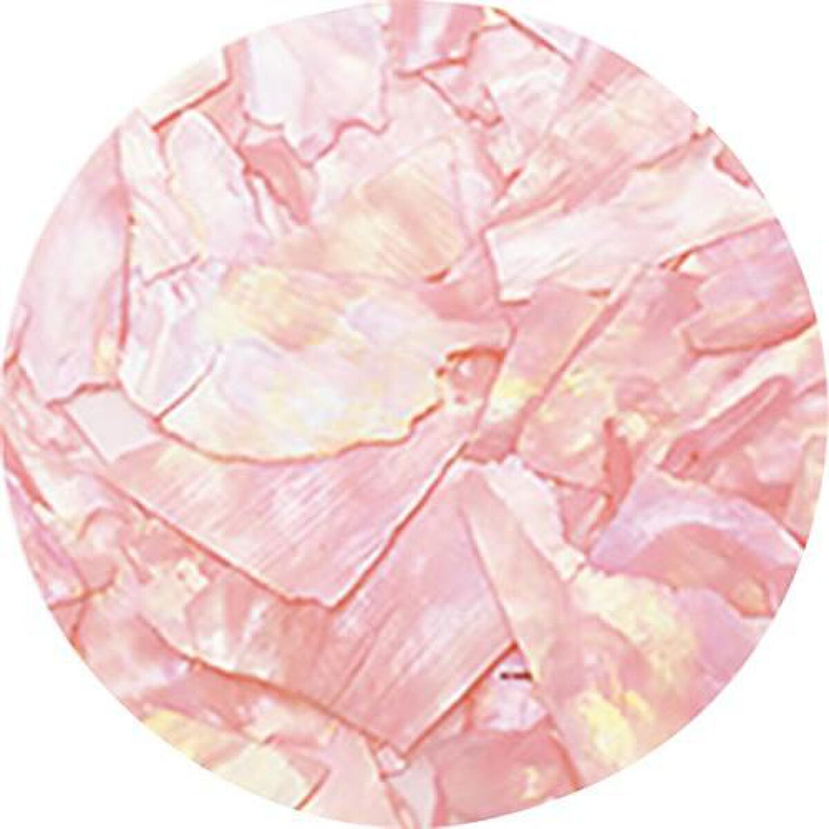 ナチュラルビーチシェル BZ12 ピンクオパール