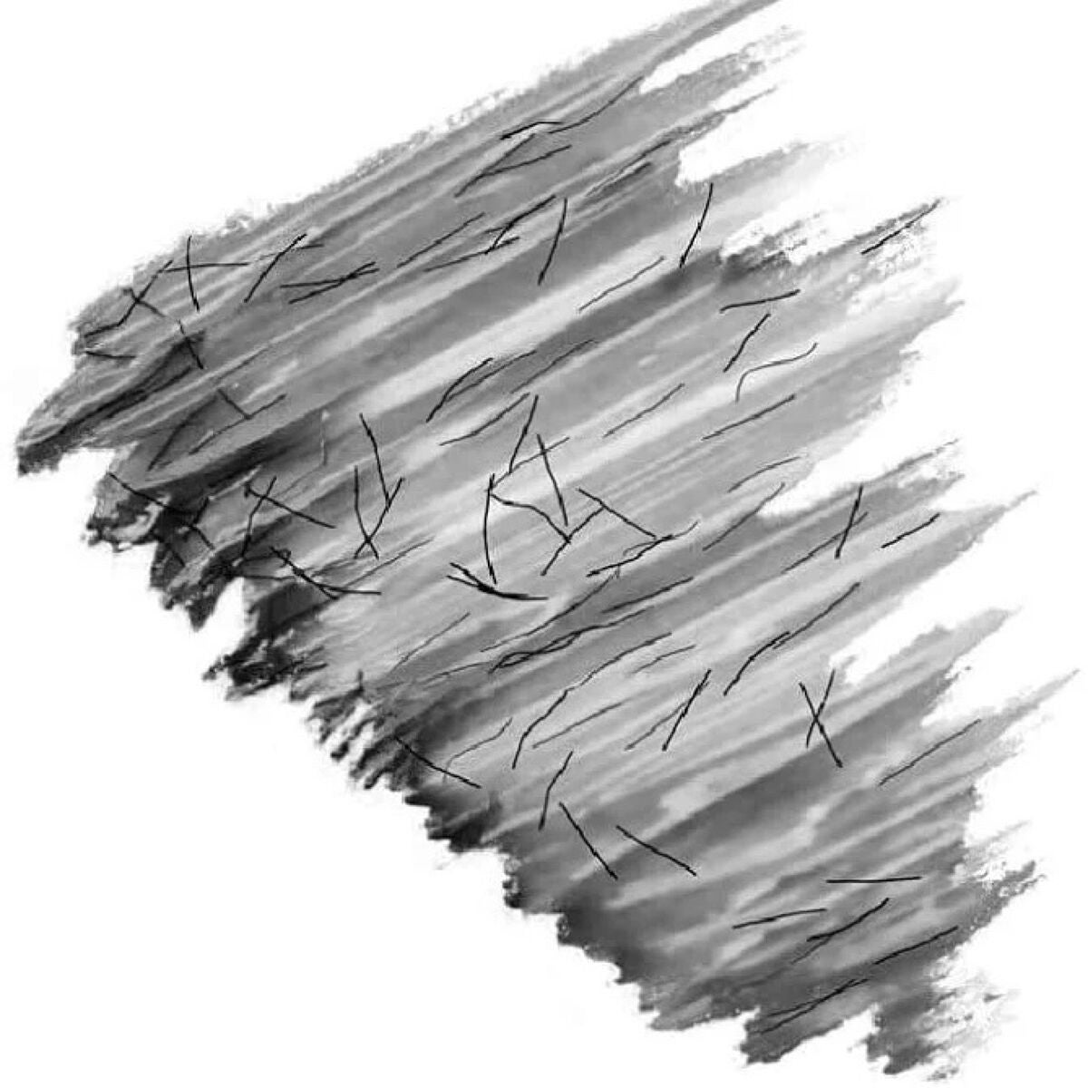 アイラッシュカーラー /SHISEIDO/ビューラーを使ったクチコミ(4枚目)