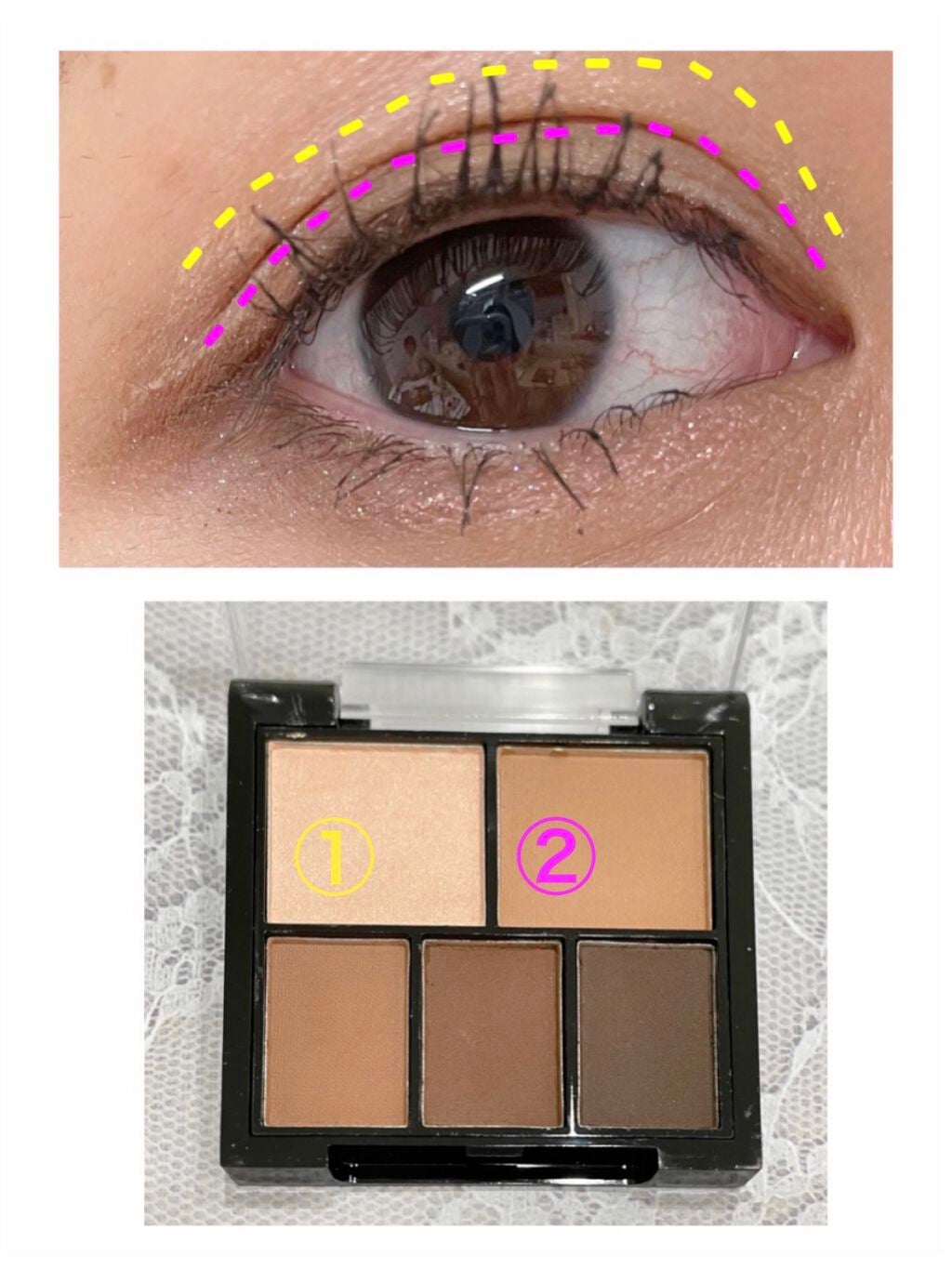 さくら on LIPS 「#URGRAM#マルチアイパレット01#アイシャドウ#ブラウン..」(2枚目)