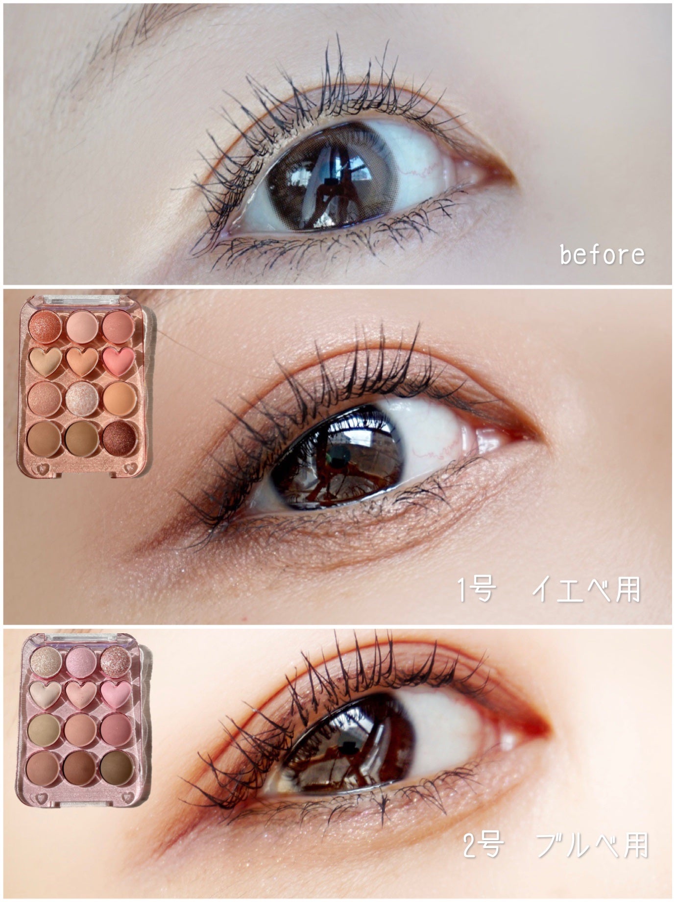 目元チュートリアルアイパレット/Colorgram/アイシャドウパレットを使ったクチコミ(3枚目)