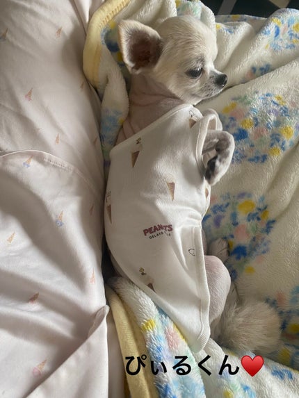 ヒアルロンショットバブルクレンザー/AMPLE:N/泡洗顔を使ったクチコミ(4枚目)