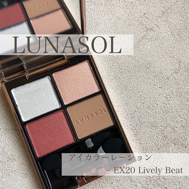 アイカラーレーション EX20 Lively Beat（限定発売）/LUNASOL/アイシャドウパレットを使ったクチコミ（1枚目）