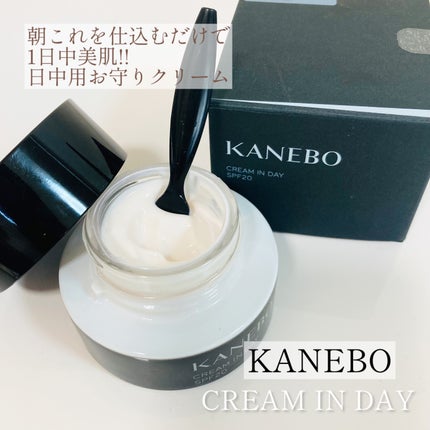クリーム イン デイ/KANEBO/フェイスクリームを使ったクチコミ(1枚目)