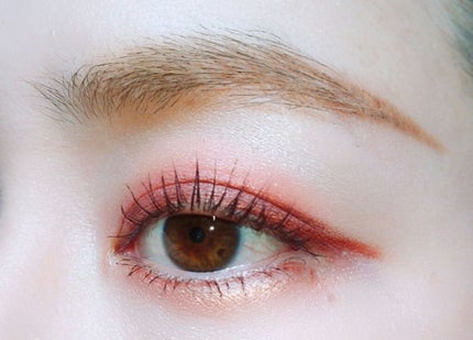 グロッシーリッチ アイズ N/Visée/アイシャドウパレットを使ったクチコミ(2枚目)