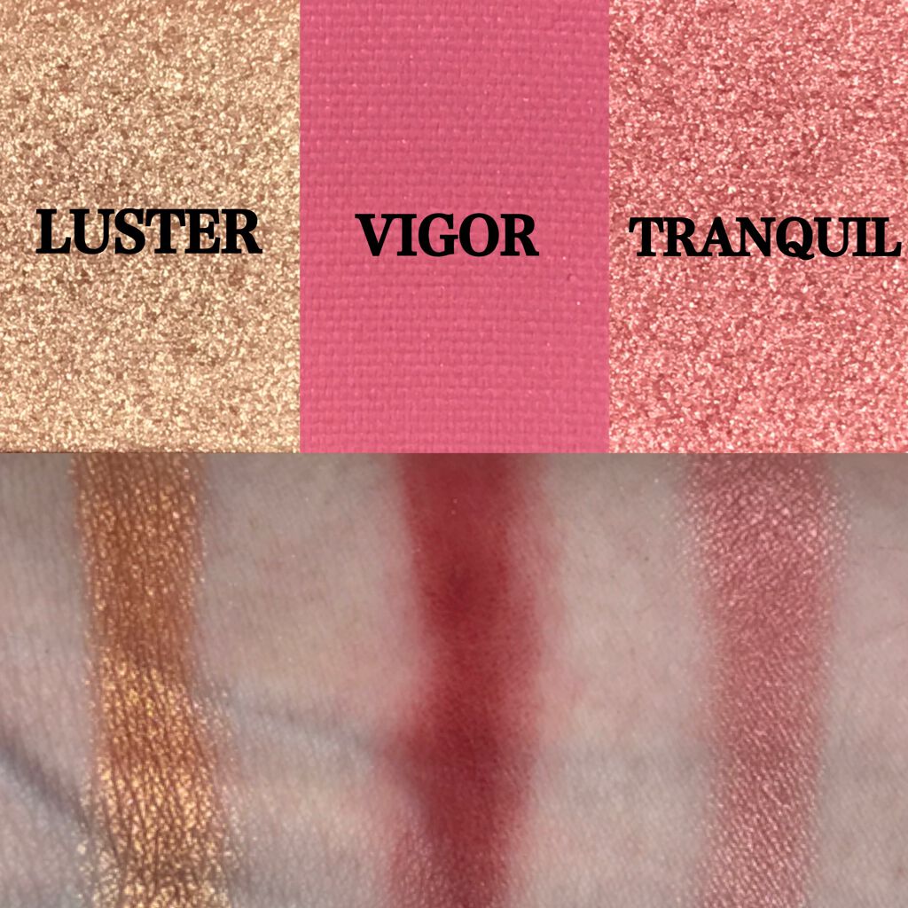 Natasha Denona  ゼンドゥーパレットのクチコミ「NATASHA DENONA
ZENDŌ PALETTE

ナターシャの新しいアイシャドウパレ.....」（3枚目）