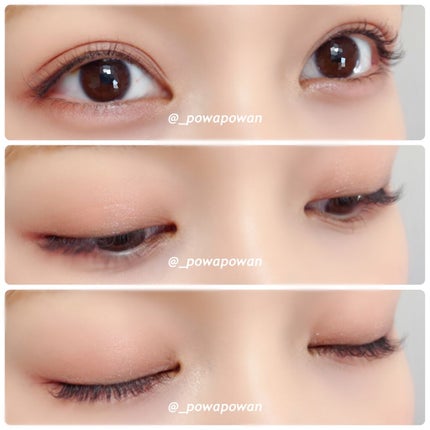 エクスプローラ12色 動物アイシャドウパレット/PERFECT DIARY/アイシャドウパレットを使ったクチコミ(2枚目)