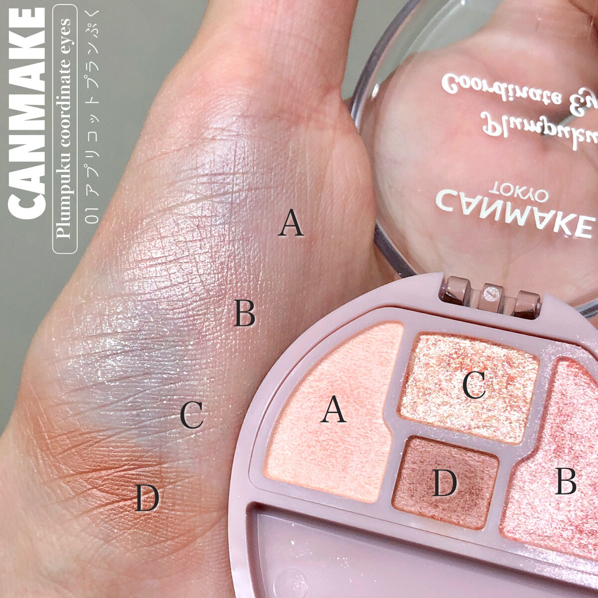 プランぷくコーデアイズ/キャンメイク/パウダーアイシャドウを使ったクチコミ（3枚目）