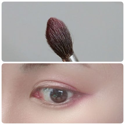 アイカラー プレイフル/エレガンス クルーズ/単色アイシャドウを使ったクチコミ(4枚目)