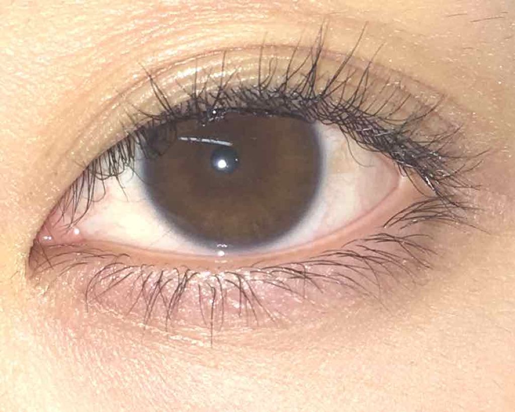 アイラッシュカーラー/DAISO/ビューラーを使ったクチコミ（2枚目）