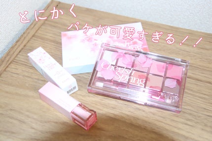 プロ アイ パレット/CLIO/アイシャドウパレットを使ったクチコミ(2枚目)