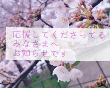 【応援してくださってるみなさんへ】
こんにちはRINAです

急なお話なんですが今日で投稿を停止します

『急になんで！？』

って思っていた方いらっしゃると思いますが

実は前から考えていたことです
