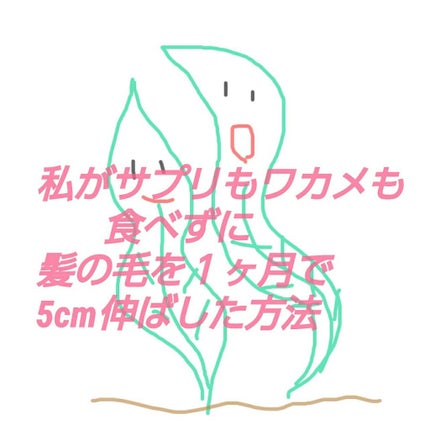 コンパクトスタイラー/TANGLE TEEZER/ヘアブラシを使ったクチコミ(1枚目)