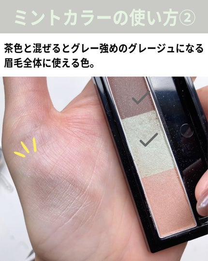 ヴィセ リシェ アイブロウパウダー/Visée/パウダーアイブロウを使ったクチコミ(5枚目)