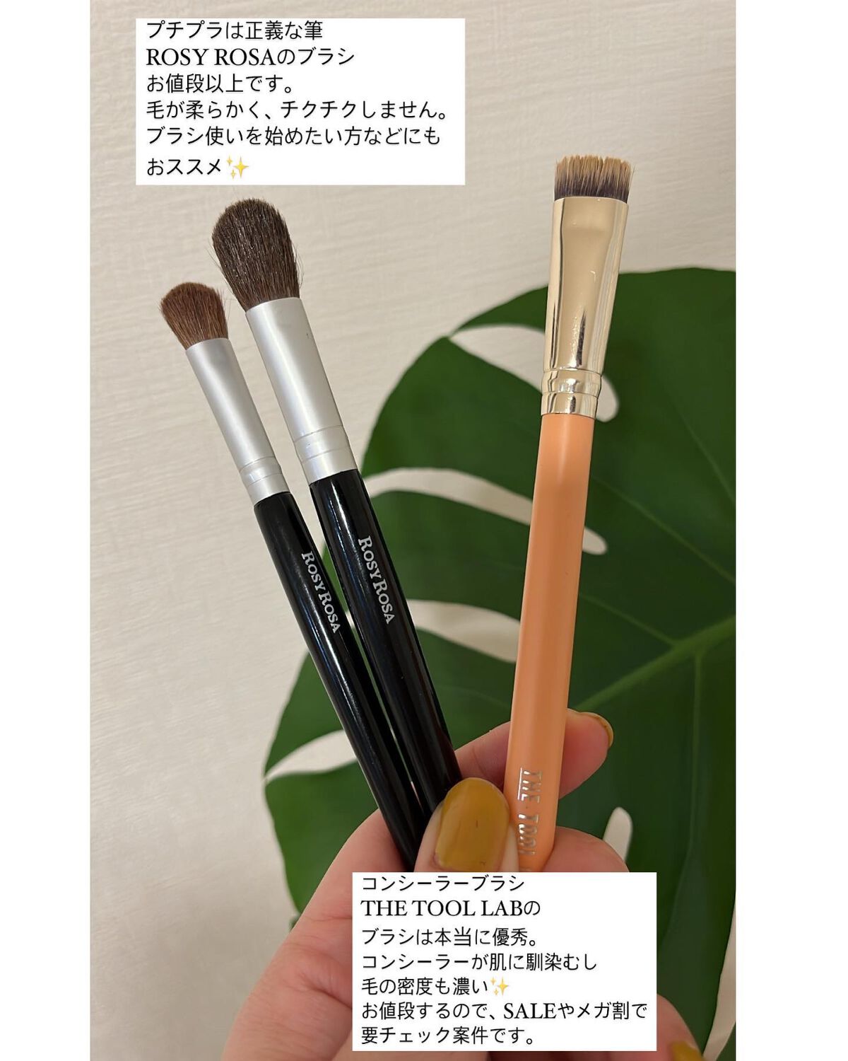 アイシャドウブラシセット/ロージーローザ/メイクブラシを使ったクチコミ(4枚目)