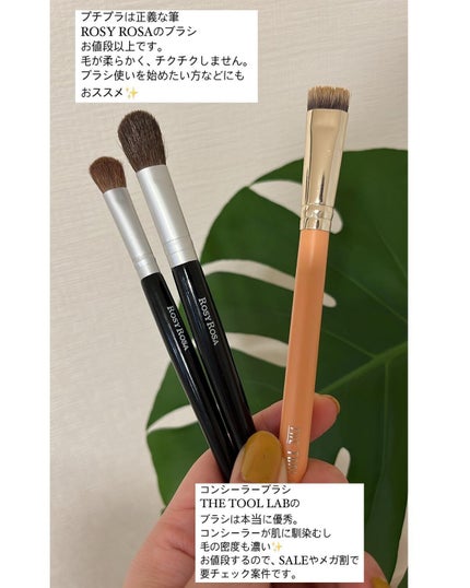 アイシャドウブラシセット/ロージーローザ/メイクブラシを使ったクチコミ(4枚目)