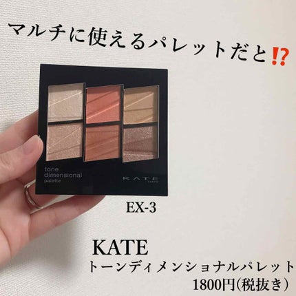 トーンディメンショナルパレット/KATE/メイクアップキットを使ったクチコミ(1枚目)