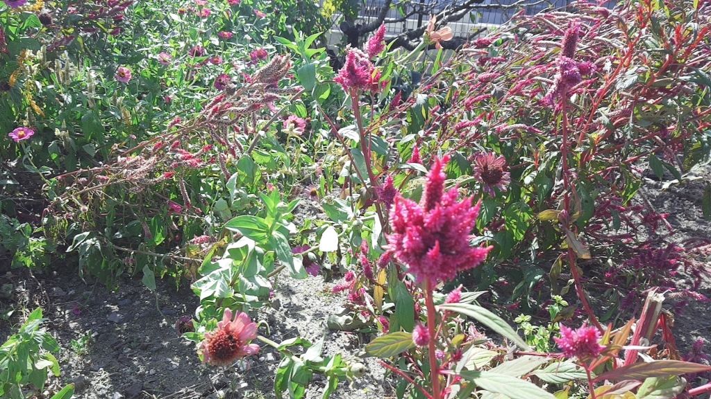 supreme_perfume_wtz on LIPS 「#はじめての投稿..」(1枚目)