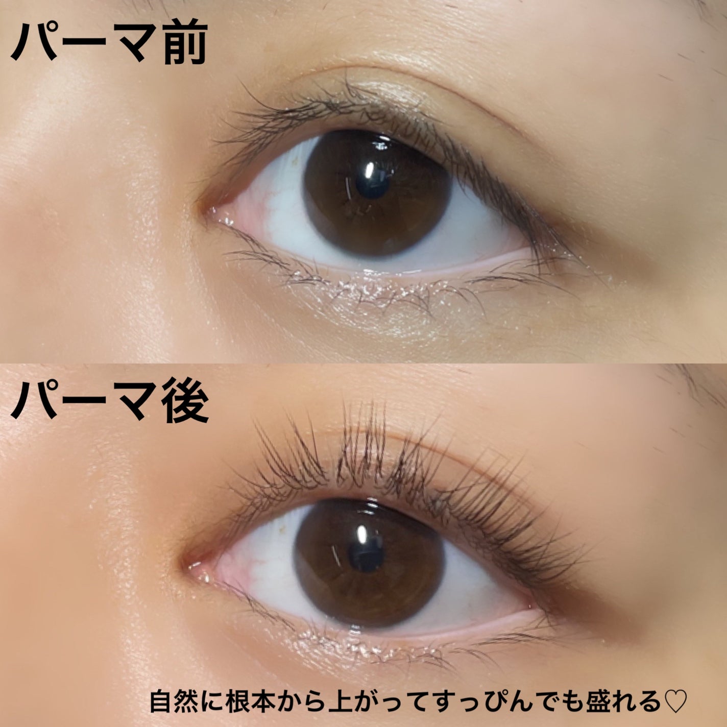 低刺激セルフまつげパーマキット/CLIONE/その他キットセットを使ったクチコミ(3枚目)