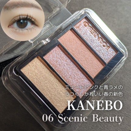 カラードシャドウ/KANEBO/アイシャドウパレットを使ったクチコミ(1枚目)