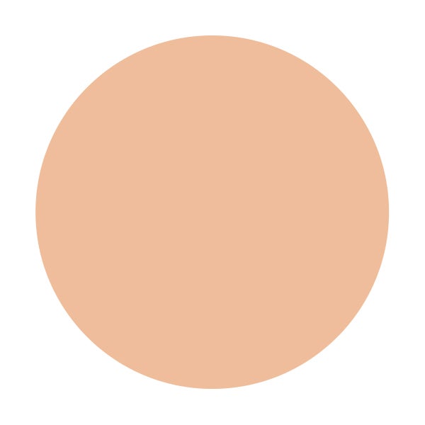 タンナチュレールプードルブラン ベージュオークル20(レフィル)