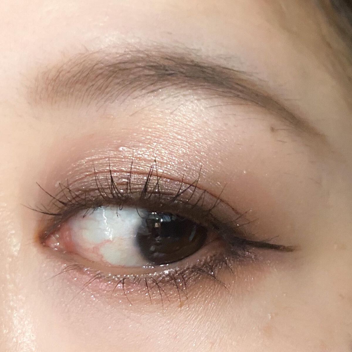 アイカラーレーション/LUNASOL/アイシャドウパレットを使ったクチコミ(3枚目)