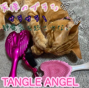 TANGLE ANGEL/TANGLE ANGEL/ヘアブラシを使ったクチコミ（1枚目）