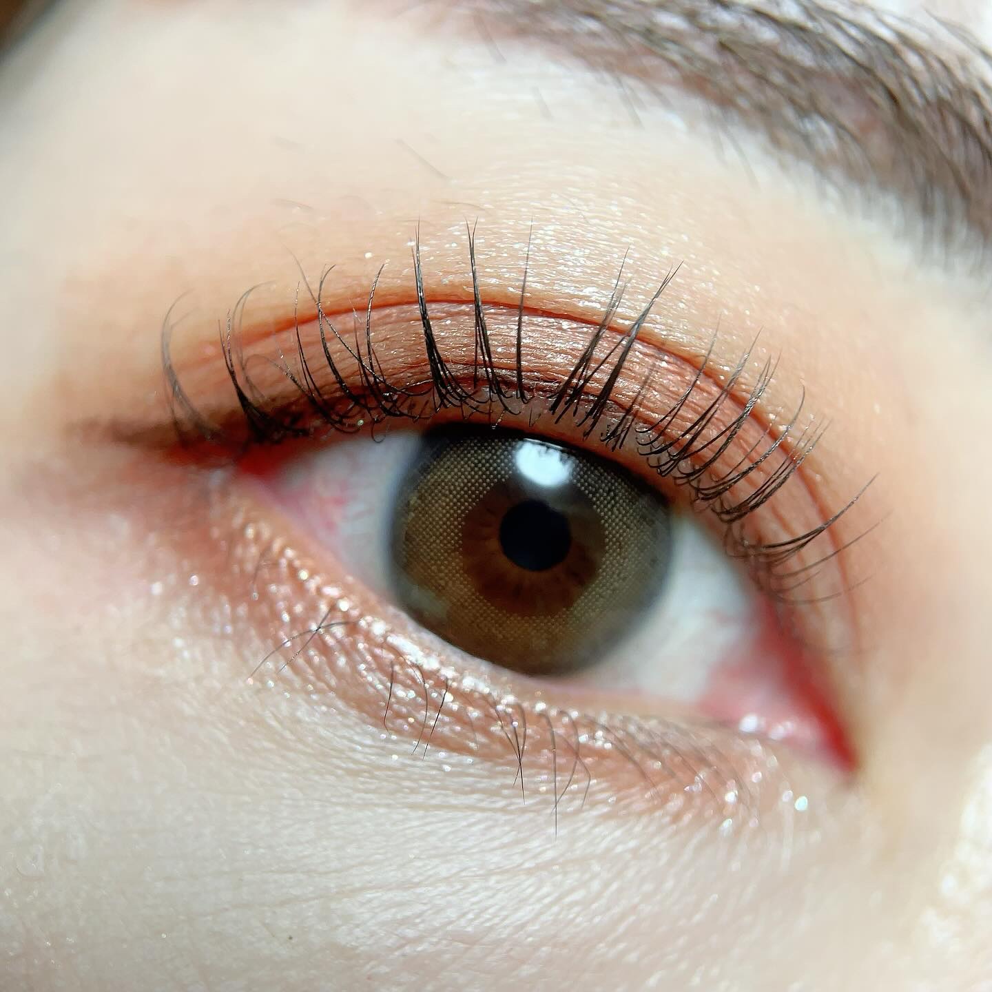 シグニチャー カラー アイズ/SUQQU/アイシャドウパレットを使ったクチコミ（3枚目）